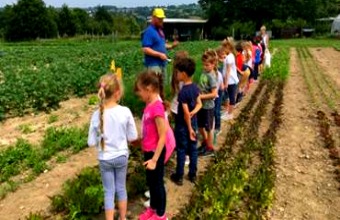 Éducation alimentaire : Le Champ des Possibles a accueilli plusieurs classes de primaire