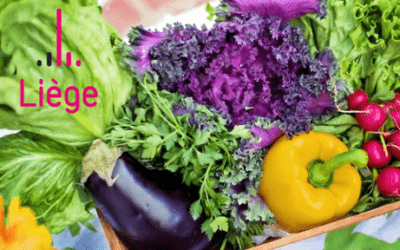 Troisième édition d’une journée de réflexion sur le thème « Alimentation saine pour tous » – Le 9 octobre à Liège