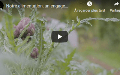 « Notre alimentation, un engagement citoyen » promu par le Plan de Cohésion Social de la Ville de Liège