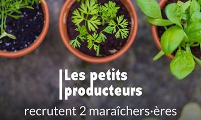 Devenez maraicher en ville avec la coopérative Les Petits Producteurs
