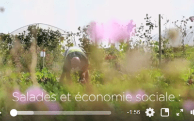 Découvrir l’économie sociale à travers l’agriculture: une animation Autre-Terre