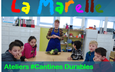Premiers ateliers Cantines Durables à l’école La Marelle d’Amay