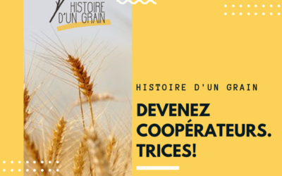 Histoire d’un grain SCRLFS est ouvert à toutes et tous !