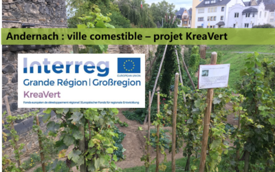 Visite Andernach « Ville Comestible » (Projet Interreg KreaVert) et offre d’emploi