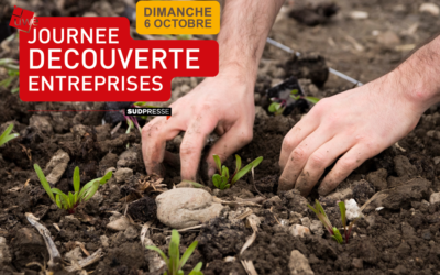 Journée Découverte Entreprises: visitez les coopératives alimentaires