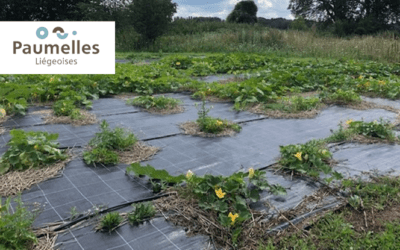 Les Paumelles Liégeoises :  une entreprise industrielle pour la biodiversité !