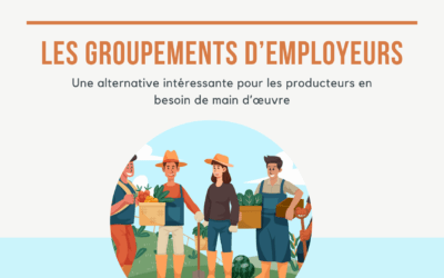 Les groupements d’employeurs : une alternative intéressante pour les producteurs en besoin de main d’œuvre