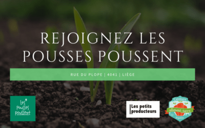Habitant.es de St Walburge (et autres liégeois.es) : participez au CSA Les Pousses Poussent