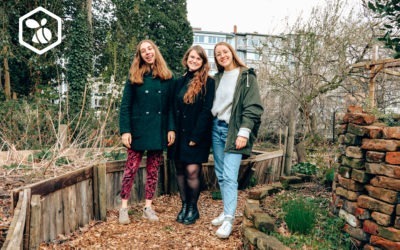 Une application pour le potager : Répondez au questionnaire des liégeoises d’URBn’Bee