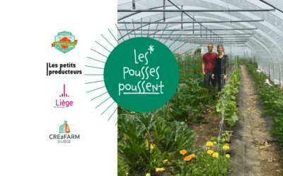 Lumière sur Les Pousses Poussent !