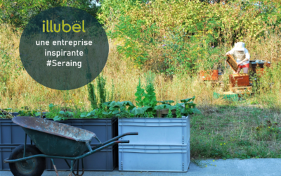 Un exemple pour les entreprises liégeoises : l’espace biodiversité alimentaire « Happy Culture » d’Illubel à Seraing