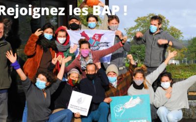 On peut tous soutenir l’agriculture paysanne : rejoignez les Brigades d’Actions Paysannes !