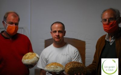 Un Grain C’Tout : un projet citoyen inspirant de filière pain à Ramillies (Brabant Wallon)