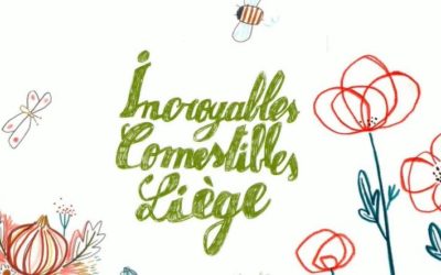 Petit manuel pour se lancer dans l’aventure des incroyables comestibles avec le Centre Liégeois du Beau Mur