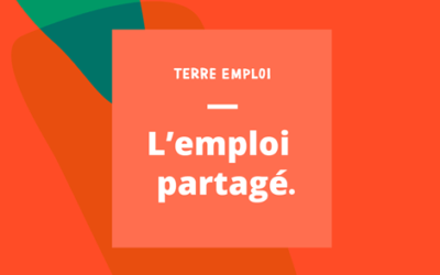 Groupement d’employeurs : Terre Emploi,  pour simplifier le recrutement chez les producteurs locaux