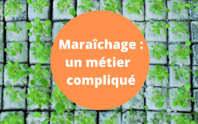 Les maraicher.ères de la région liégeoise n’ont pas un métier facile : soutenons-les !