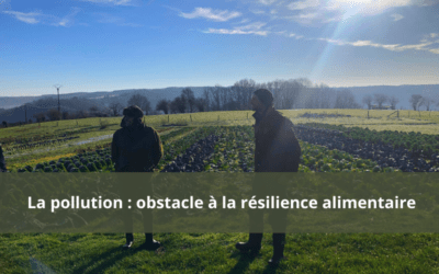 Pollution des terres : la menace qui plane sur l’agriculture en région Liégeoise.