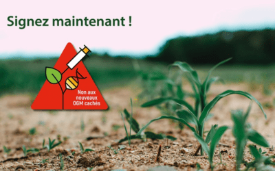 Nouveaux OGM : signez la pétition pour un maintien de la réglementation avec IEW et Nature et Progrès