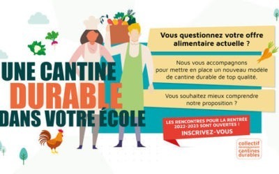 Vous souhaitez mettre en place une cantine durable dans votre école ? Contactez-nous pour la méthode « top qualité » du CDCD