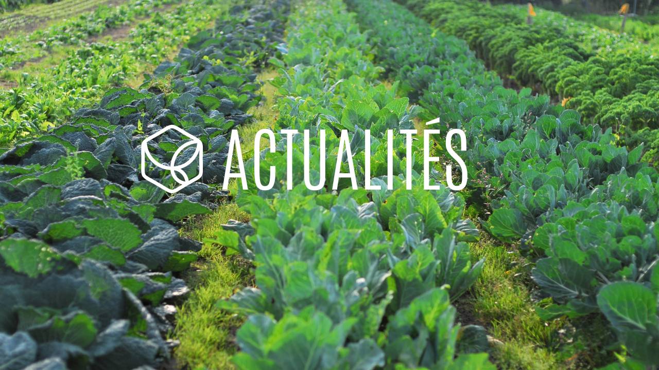 ACTUALITES
