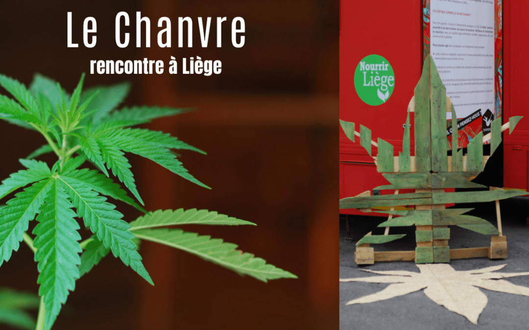 Le Chanvre dans notre alimentation : état des lieux de la filière belge et retour sur la rencontre organisée pendant le festival Nourrir Liège 2022