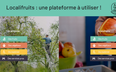 La plateforme d’échange en ligne dédiée à l’écosystème hautes tiges de Wallonie permet maintenant de valoriser les cerises et petits fruits !