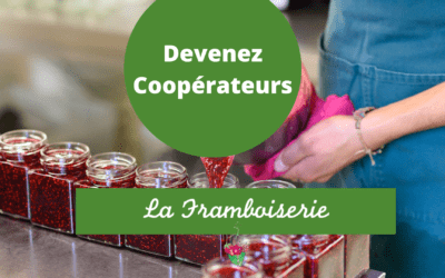 La framboiserie de Malmedy devient coopérative : participez à ce projet agricole et alimentaire !
