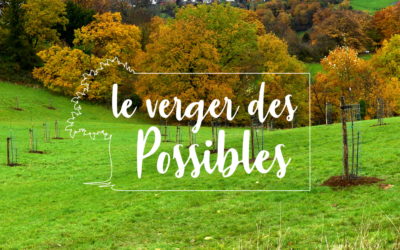 Le Verger des Possibles : plantation réussie pour le projet de production de fruits sur les hauteurs de Liège