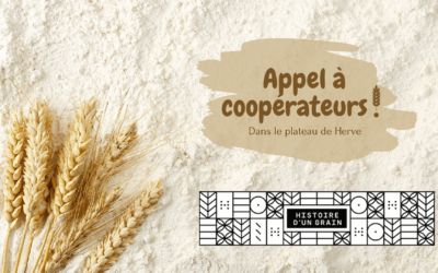 De la farine locale, bio et coopérative, ça fait rêver non ? Histoire d’un grain lance un nouvel appel à coopérateurs ! 