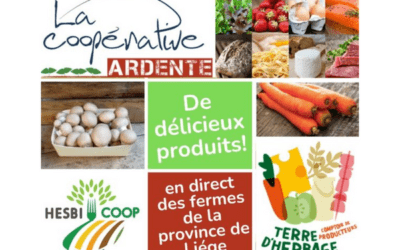 Nouveau projet & nouvelle marque : appel à l’intelligence collective pour les coopératives Hesbicoop, La Coopérative Ardente et Terre d’Herbage