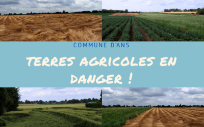 Des champs en péril à Ans ! Plaidoyer pour sauvegarder des terres agricoles locales