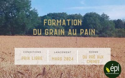 Participez à la formation immersive « Du grain au Pain » proposée par l’Ecole Paysanne Map-Epi