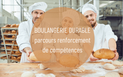 Vers un parcours de formation en boulangerie durable vecteur d’emploi en Wallonie