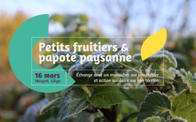 Activité de coupe de petits fruitiers et discussion autour du métier de producteur à la Ferme Larock ce 16/03