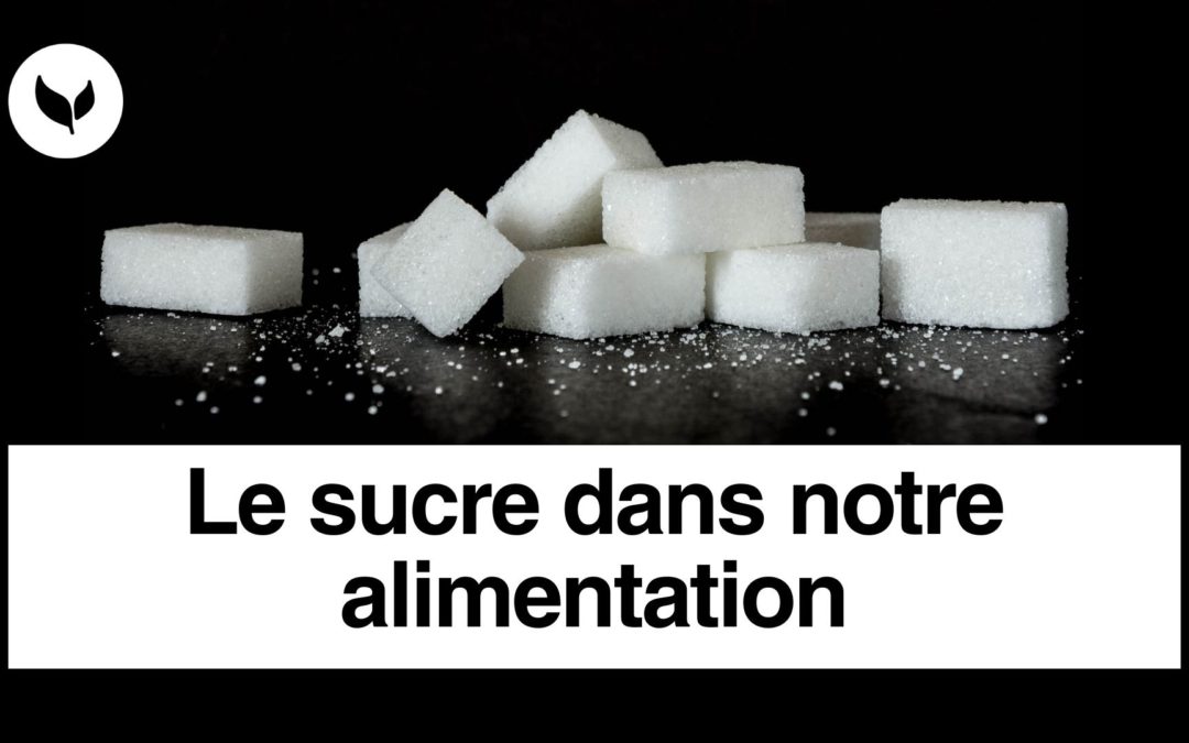 Table ronde sur le sucre ou l’intérêt de continuer à mobiliser une partie importante des terres agricoles wallonnes pour un aliment néfaste à la santé 18/04