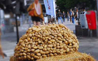 La pomme de terre dans tous ses états pour le festival Nourrir Liège 2024 : participez !