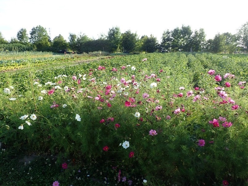 agricole 1. Evolution des habitudes de consommation