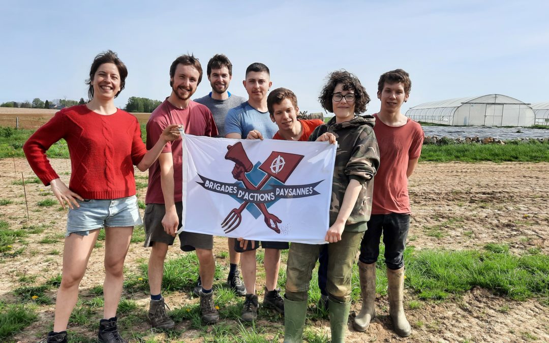 Projet Acterre : Appel pour reprise d’une activité de Maraichage à Anthisnes
