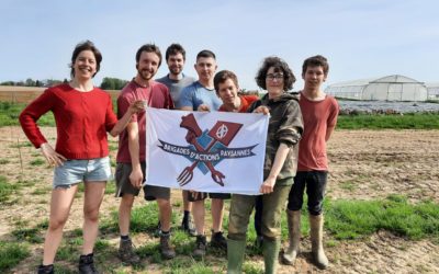 Projet Acterre : Appel pour reprise d’une activité de Maraichage à Anthisnes