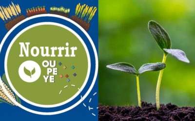 Festival Nourrir Oupeye : Du 1er au 4 septembre 2024