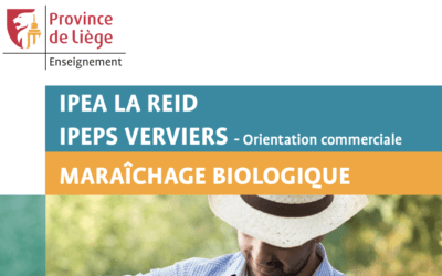 Formation en Maraîchage Biologique : Cultiver Durable, C’est Possible !