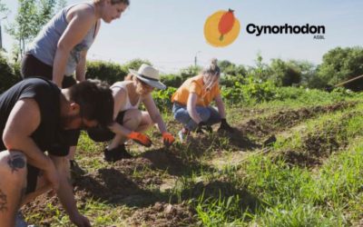 Cynorhodon : Un acteur clé de l’agroécologie et de l’insertion socioprofessionnelle en Basse-Meuse