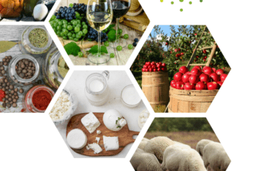 Diversiferm : Rendez-vous des producteurs et productrices le 29 Janvier 2025 !