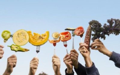 Mobilisation européenne pour la diversité des semences 🌱