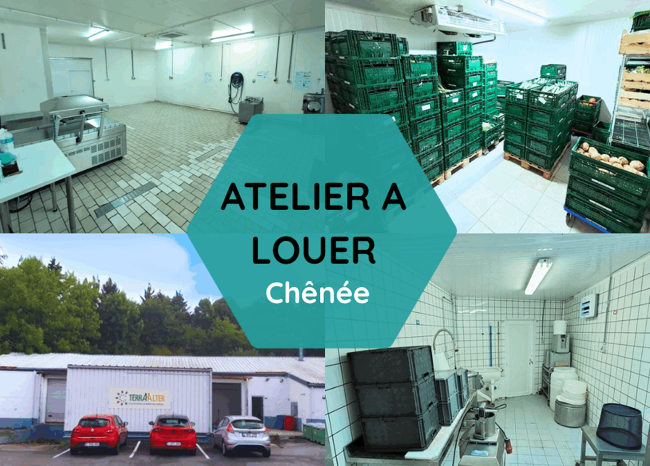 Locaux disponibles à Chênée – ancien site de Terra Alter