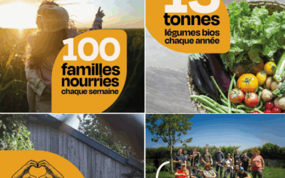 Investissez dans l’espace de travail horticole du Cynorhodon