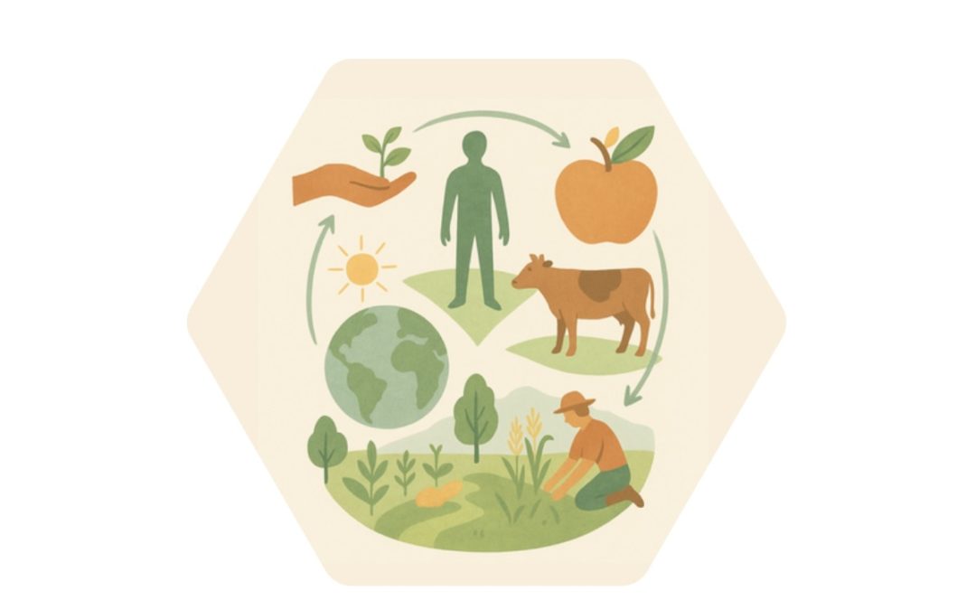 Nouvelle publication : Vers une définition du One Health.