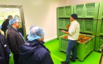 Visites professionnelles de la Légumerie Terra Alter