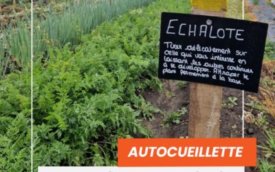 Abonnement Créafarm